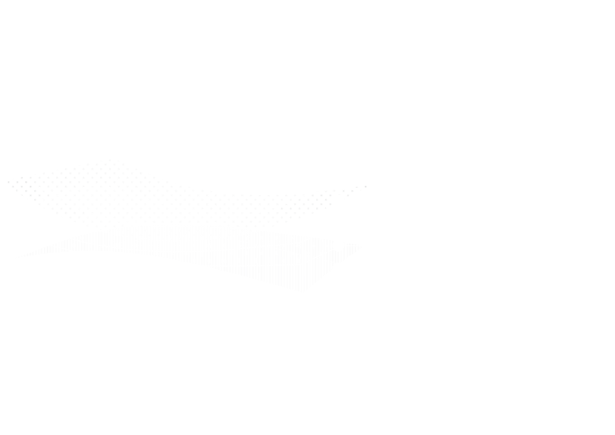 ROLIPS PPF STRUCTURE